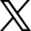 x-icon